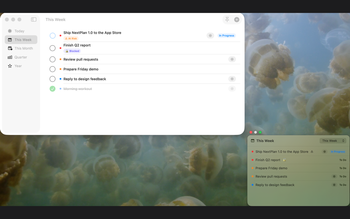 NextPlan on Mac